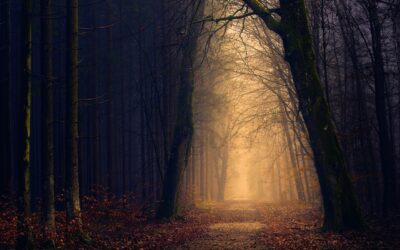 Die verlorene Sprache der Gefühle